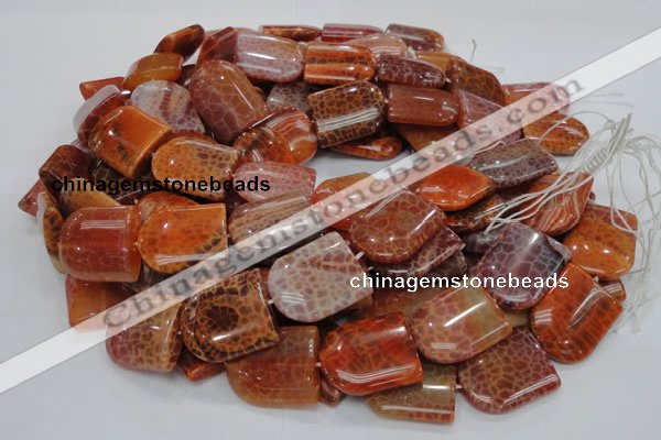 CAG684 15.5 inches 25*30mm freeform natural fire agate beads