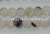 CAG7141 15.5 inches 6mm round Montana agate gemstone beads