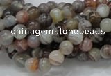 CAG735 15.5 inches 6mm round botswana agate beads wholesale