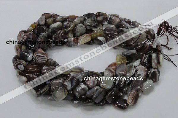 CAG737 15.5 inches 10*14mm rectangle botswana agate beads wholesale