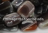 CAG739 15.5 inches 14*18mm rectangle botswana agate beads wholesale