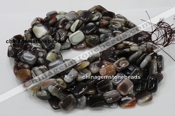 CAG739 15.5 inches 14*18mm rectangle botswana agate beads wholesale