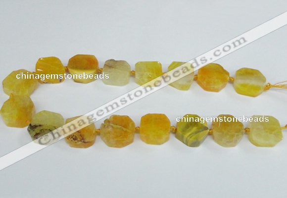 CAG7392 15.5 inches 22*25mm freeform dragon veins agate beads