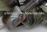 CAG740 15.5 inches 16*20mm rectangle botswana agate beads wholesale