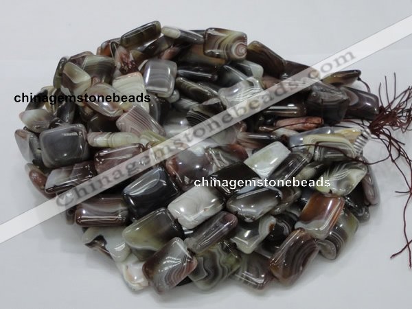 CAG740 15.5 inches 16*20mm rectangle botswana agate beads wholesale