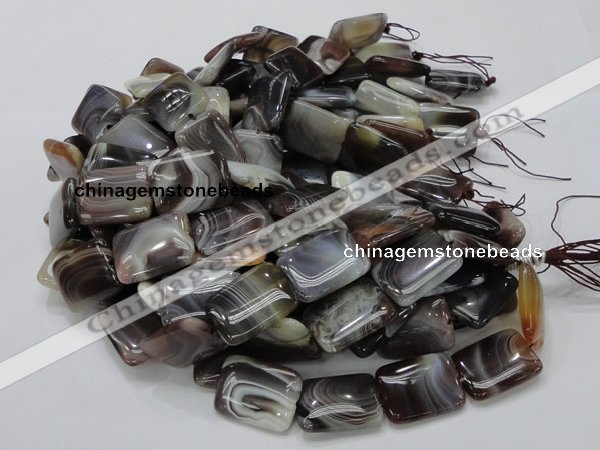 CAG741 15.5 inches 18*24mm rectangle botswana agate beads wholesale