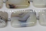 CAG7423 15.5 inches 18*25mm rectangle Montana agate beads