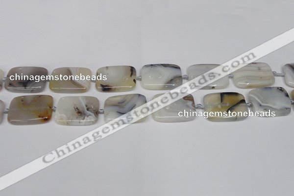 CAG7423 15.5 inches 18*25mm rectangle Montana agate beads