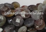 CAG751 15.5 inches 10mm faceted coin botswana agate beads wholesale