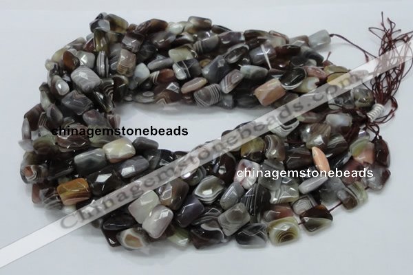 CAG759 15.5 inches 10*14mm faceted rectangle botswana agate beads