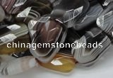 CAG760 15.5 inches 14*18mm faceted rectangle botswana agate beads