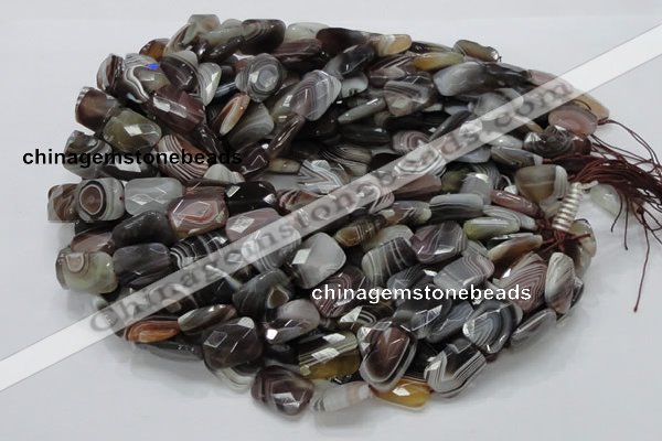 CAG760 15.5 inches 14*18mm faceted rectangle botswana agate beads