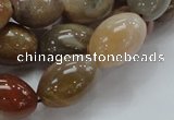 CAG773 15.5 inches 13*19mm rice yellow agate gemstone beads