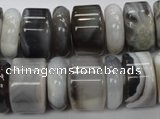 CAG788 15.5 inches 6*18mm & 12*18mm rondelle botswana agate beads