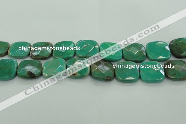 CAG7918 15.5 inches 30*30mm faceted square grass agate beads