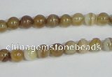 CAG936 16 inches 6mm round madagascar agate gemstone beads