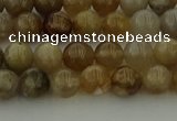 CAG9401 15.5 inches 6mm round ocean fossil agate beads wholesale