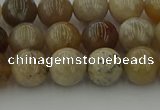 CAG9402 15.5 inches 8mm round ocean fossil agate beads wholesale