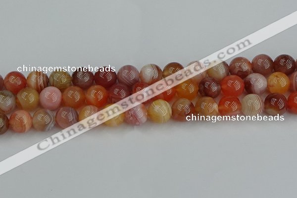 CAG9564 15.5 inches 12mm round red botswana agate gemstone beads