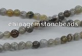 CAG970 15.5 inches 4mm round bamboo leaf agate gemstone beads