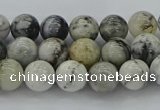 CAG9731 15.5 inches 6mm round black & white agate beads wholesale