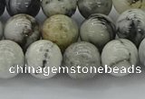 CAG9733 15.5 inches 10mm round black & white agate beads wholesale