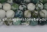 CAG9838 15.5 inches 6mm faceted round tree agate beads