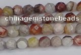 CAG9860 15.5 inches 4mm faceted round Mexican crazy lace agate beads