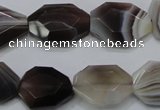 CAG990 15.5 inches 15*20mm faceted freeform botswana agate beads