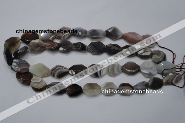 CAG990 15.5 inches 15*20mm faceted freeform botswana agate beads