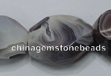 CAG991 15.5 inches 25*30mm faceted freeform botswana agate beads