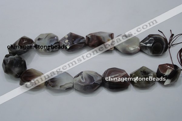 CAG991 15.5 inches 25*30mm faceted freeform botswana agate beads