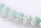 CAM17 15.5 inches round 8mm natural amazonite beads Wholesale