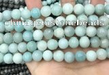 CAM1733 15.5 inches 10mm round amazonite gemstone beads