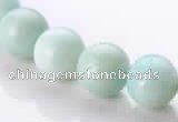 CAM19 15.5 inches 12mm natural amazonite round beads Wholesale