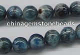 CAP06 15.5 inches 10mm round apatite gemstone beads wholesale