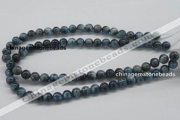 CAP06 15.5 inches 10mm round apatite gemstone beads wholesale