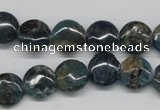 CAP08 15.5 inches 12mm flat round apatite gemstone beads wholesale