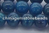 CAP363 15.5 inches 10mm round apatite gemstone beads wholesale