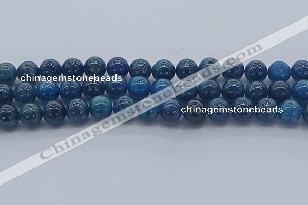 CAP363 15.5 inches 10mm round apatite gemstone beads wholesale