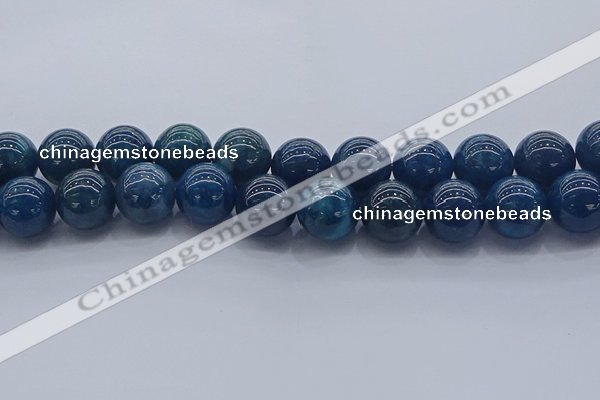 CAP367 15.5 inches 18mm round apatite gemstone beads wholesale