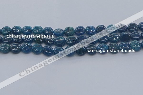 CAP381 15.5 inches 10mm flat round apatite gemstone beads