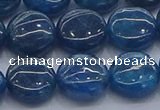 CAP382 15.5 inches 12mm flat round apatite gemstone beads