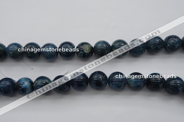 CAP404 15.5 inches 12mm round A grade natural apatite beads