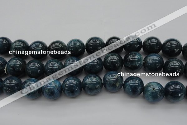 CAP405 15.5 inches 14mm round A grade natural apatite beads