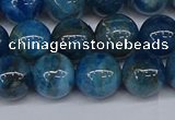 CAP413 15.5 inches 10mm round apatite gemstone beads wholesale