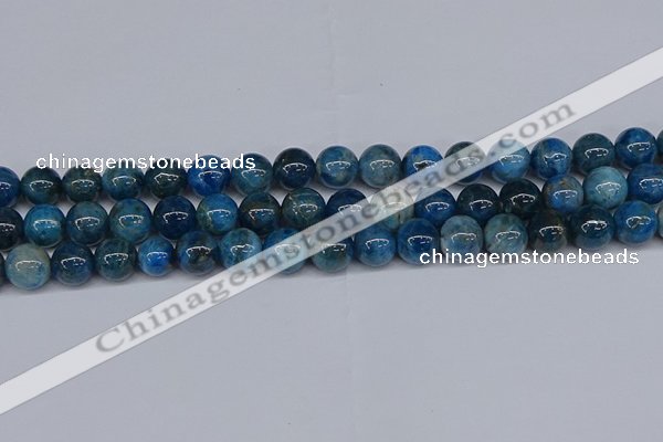 CAP413 15.5 inches 10mm round apatite gemstone beads wholesale