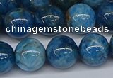 CAP414 15.5 inches 12mm round apatite gemstone beads wholesale