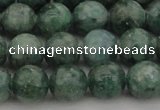 CAP501 15.5 inches 8mm round natual green apatite beads