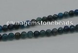 CAP51 15.5 inches 4mm round dyed apatite gemstone beads wholesale